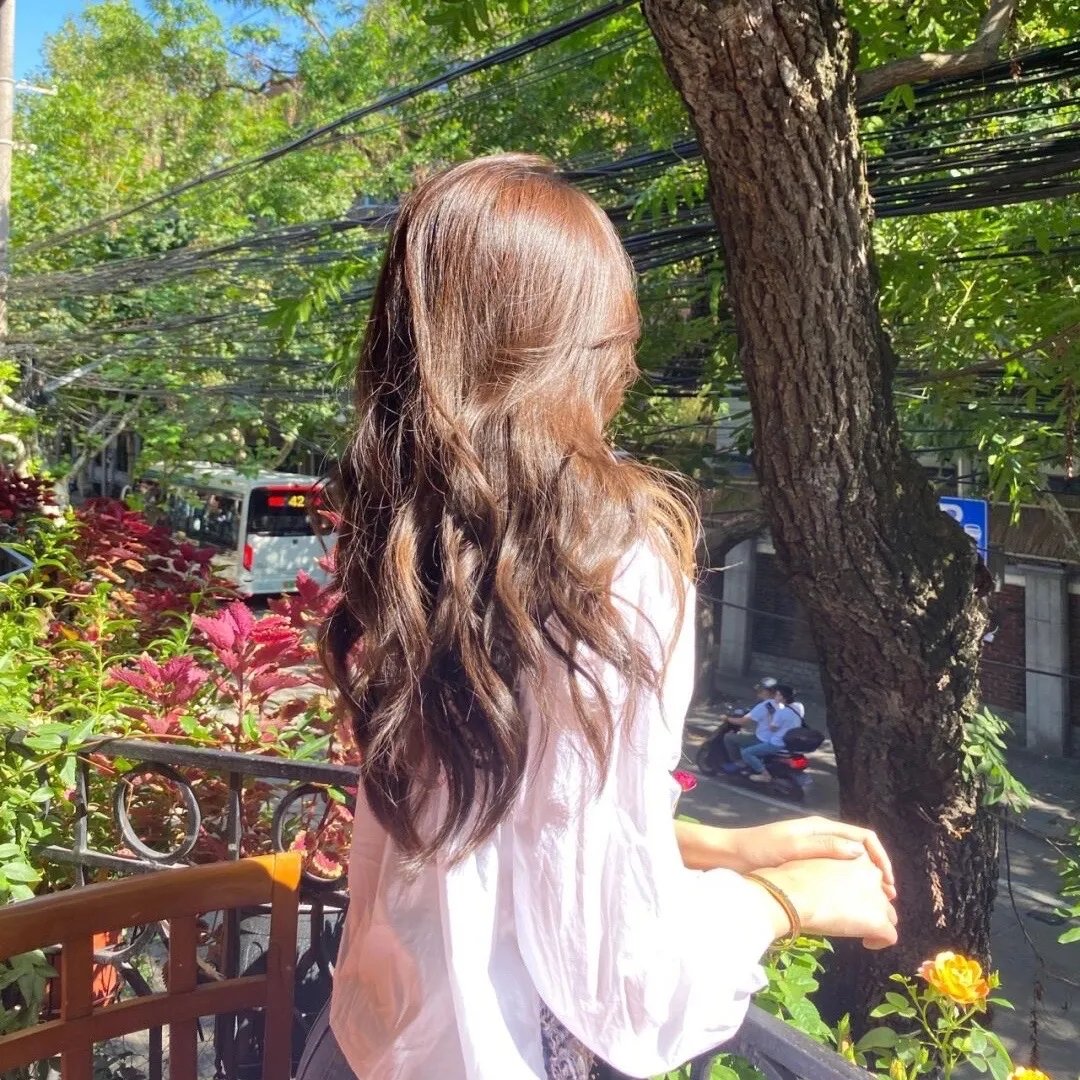 我的宠物是大象